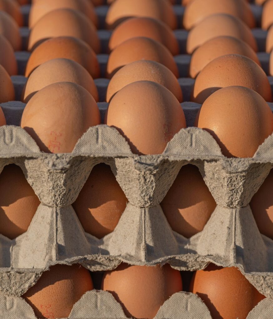 Eier liegen in Verpackungen.