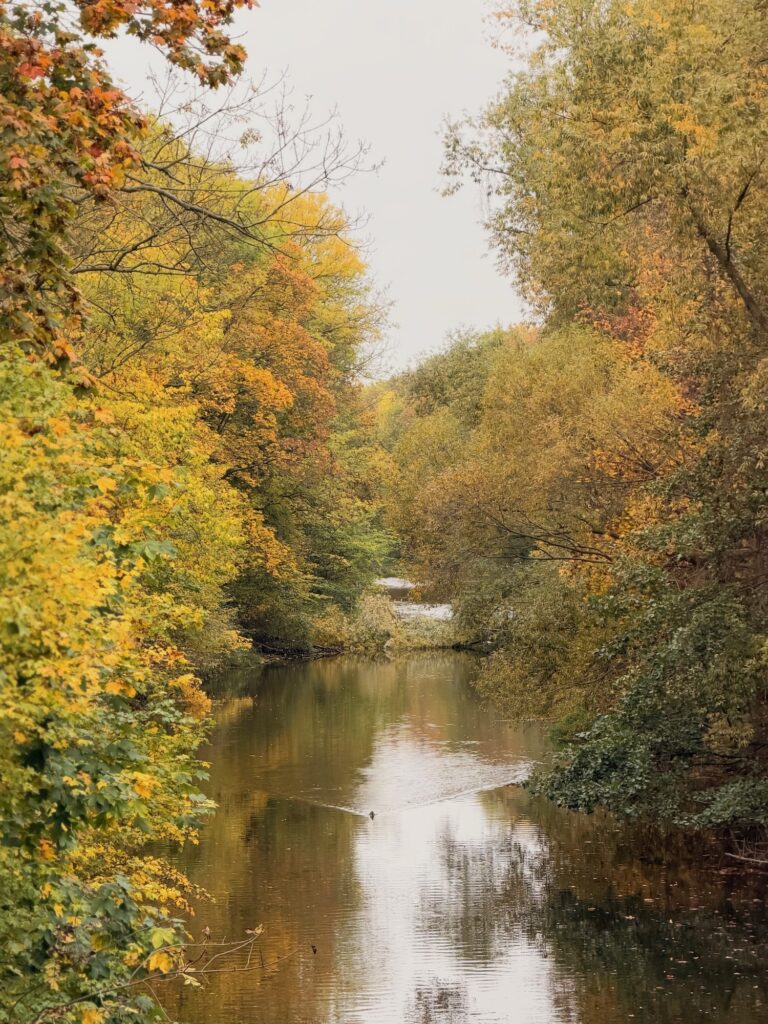 Herbstbäume und ein Fluss.