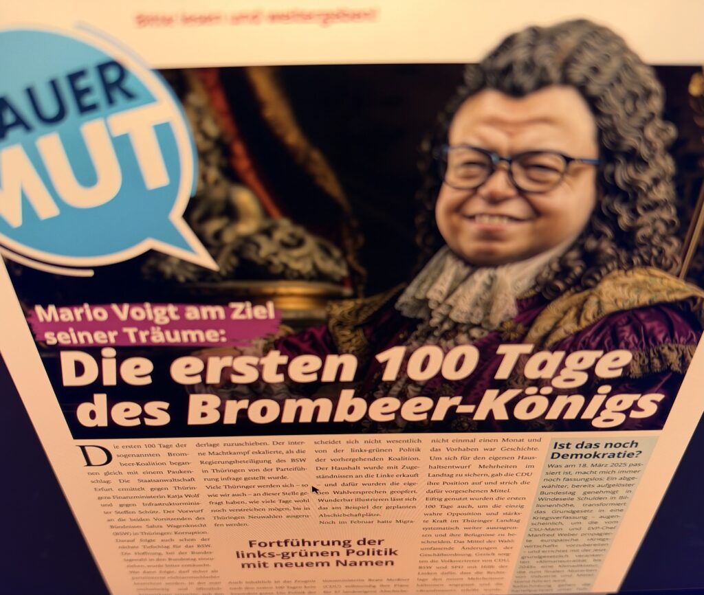 Ein Screenshot der AfD-Zeitung "Blauer Mut".